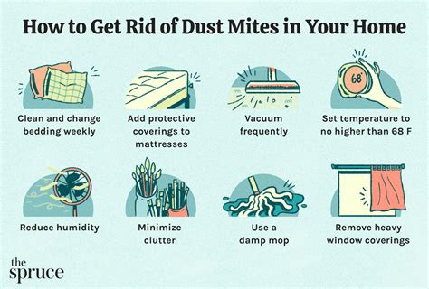 how do you get rid of dust mites