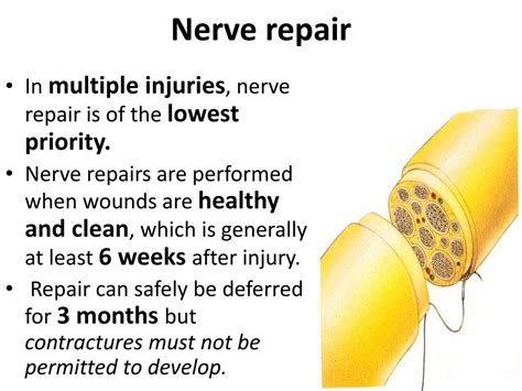 how do you repair nerve damage Epub