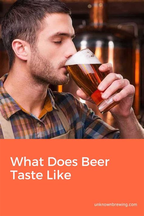 how does beer taste