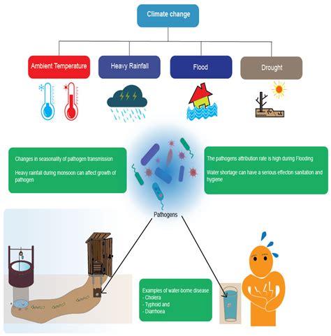 how does climate change affect disease