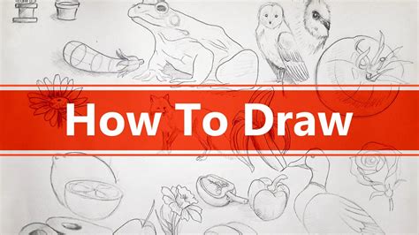 how draw beginners instructions creative Doc