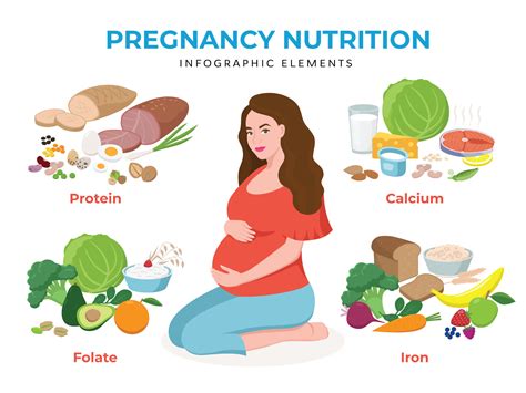 how fetus get nutrition from mother