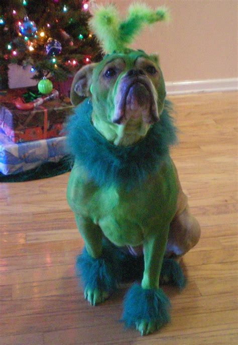 how grinch stole christmas dog costume Epub