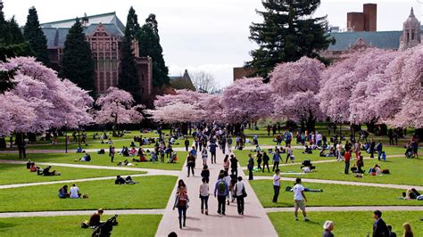 how hard is it to get into university of washington