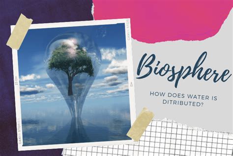 how is water distributed through the biosphere Doc
