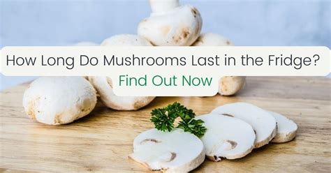 how long can i keep mushrooms in the fridge