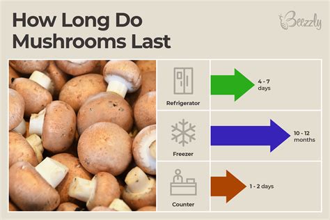 how long can mushrooms last in the fridge