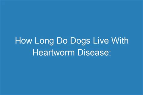 how long do dogs with heartworms live