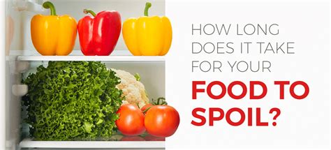 how long does food take to spoil