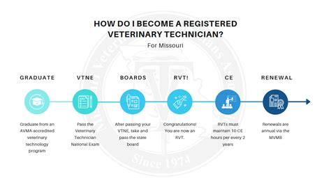 how long does it take to be a vet tech