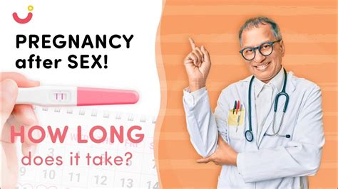 how long does it take to get pregnant after sex