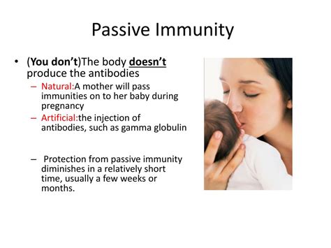 how long does passive immunity last