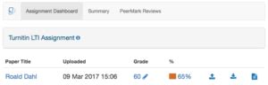 how long does turnitin take to process