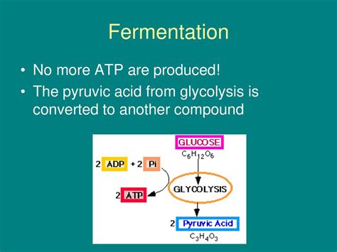 how many atp are produced in: fermentation