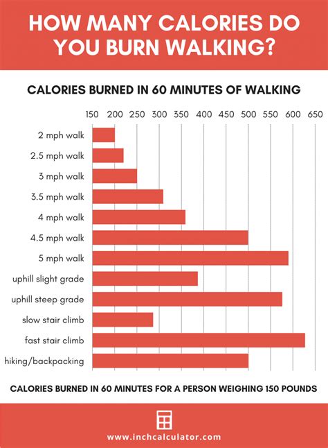 how many calories did i burn walking 2 miles in 34 minutes Epub