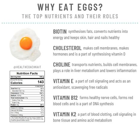 how many eggs can you eat a day