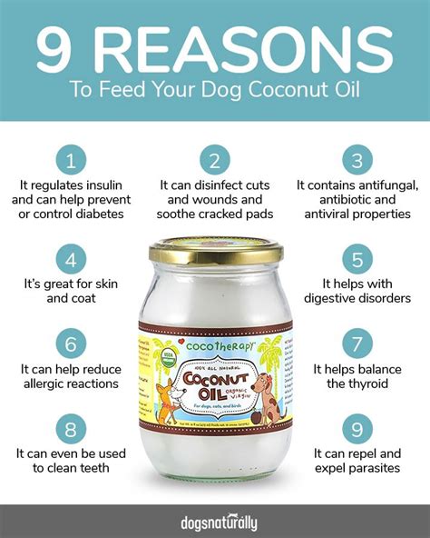 how much coconut oil for dogs