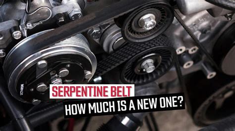 how much do serpentine belts cost Epub