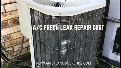 how much does it cost to fix a freon leak in air conditioner Kindle Editon