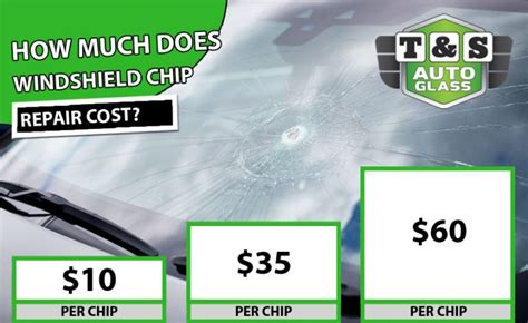 how much does windshield chip repair cost Doc