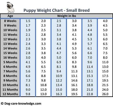 how much dog weight