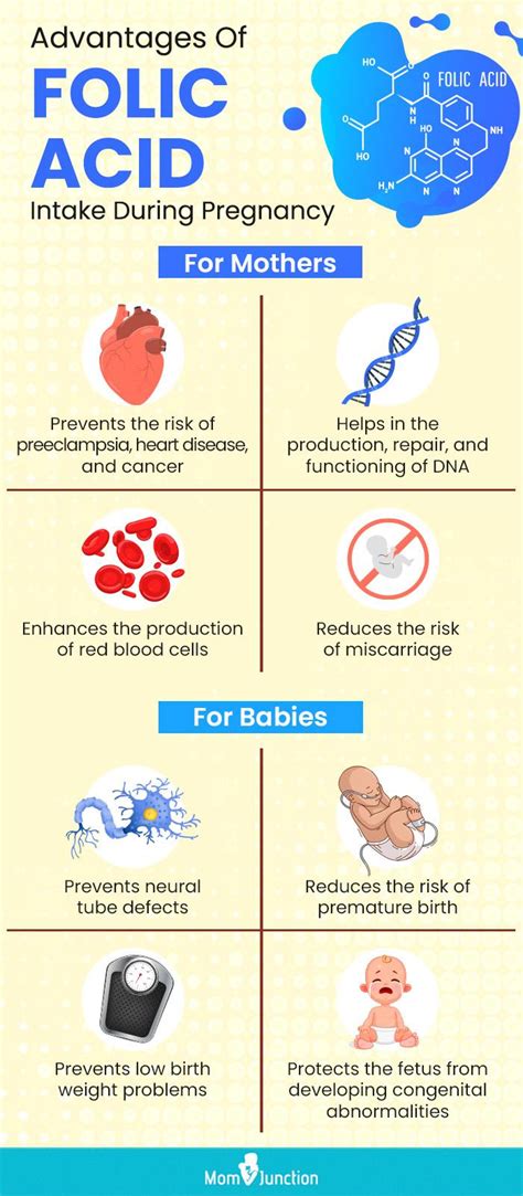 how much folic acid during pregnancy