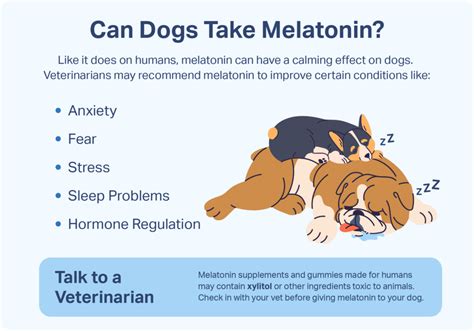 how much melatonin for dogs