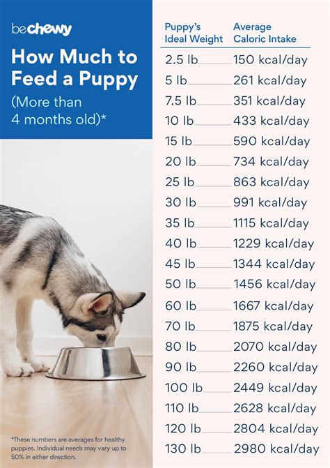 How Much To Feed Puppy Chart