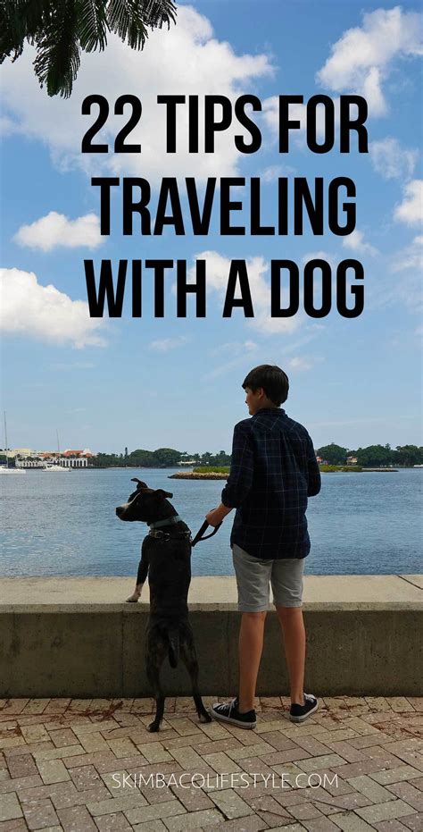 how much to travel with a dog