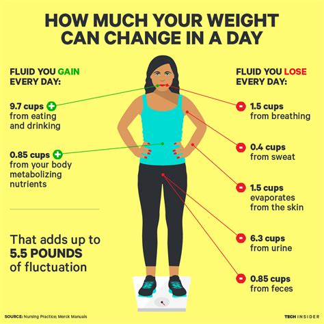 how much weight loss per day