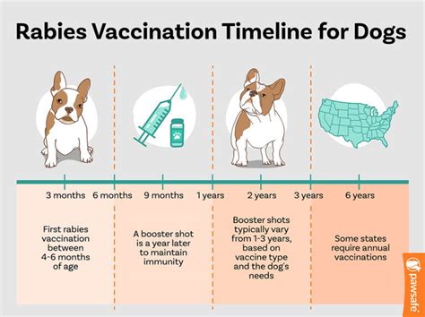 how often rabies shot dog