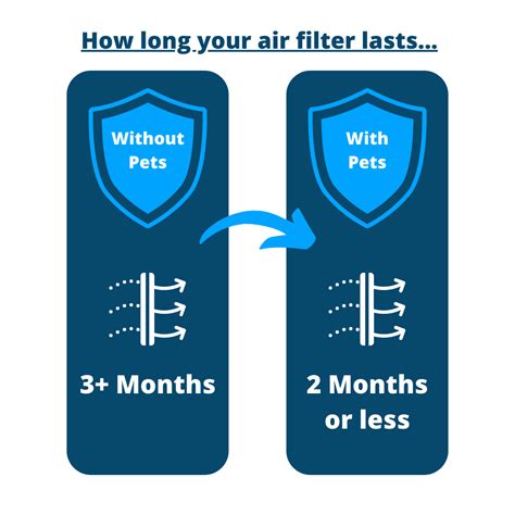 how often should you change your air filter Reader