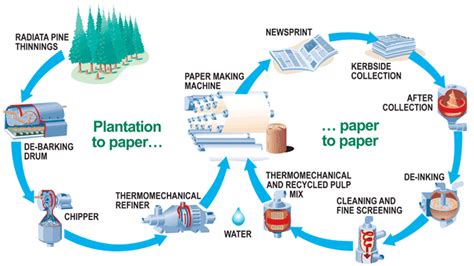 how paper gets recycled Epub