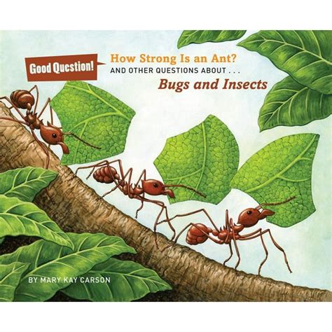 how strong is an ant? and other questions about bugs and insects good question PDF