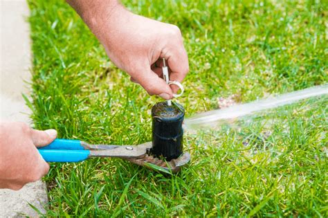 how to adjust irrigation system sprinkler heads pdf Reader