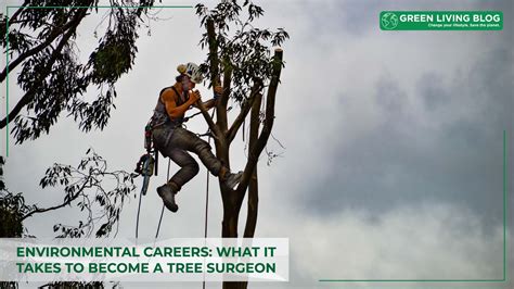 how to become a tree surgeon