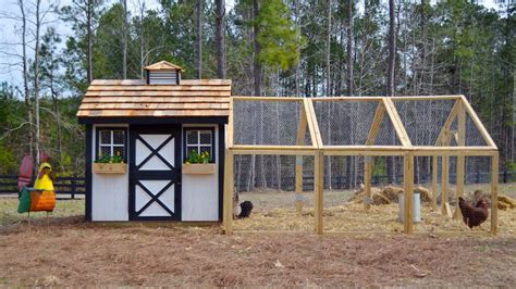 how to build chicken coops 12 different PDF