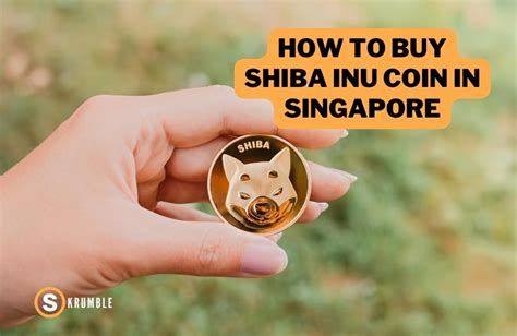 how to buy shiba inu coin in singapore