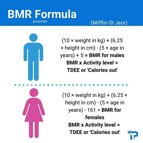 how to calculate daily required calories