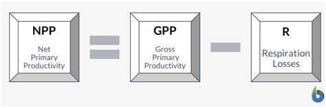 how to calculate npp
