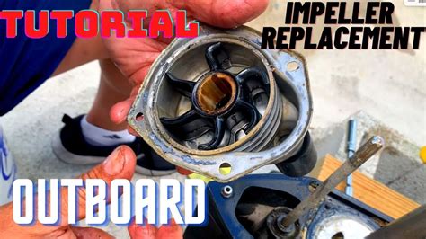 how to change impeller on johnson outboard pdf Doc