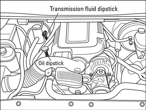 how to check transmission fluid 2003 focus Kindle Editon