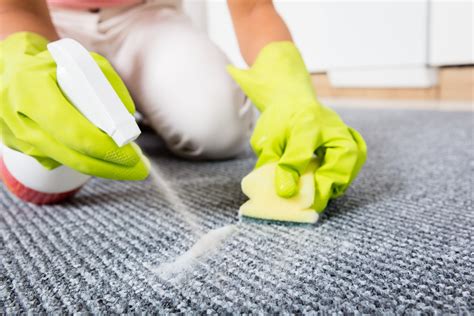 how to clean a carpet cleaner