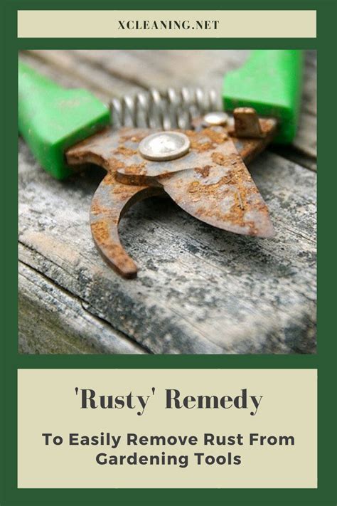 how to clean rusty garden tools Kindle Editon