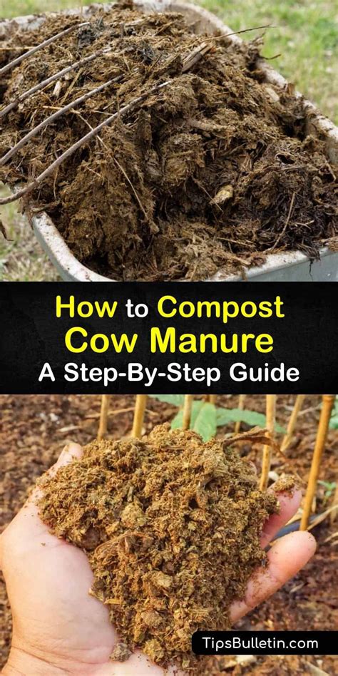 how to compost manure PDF