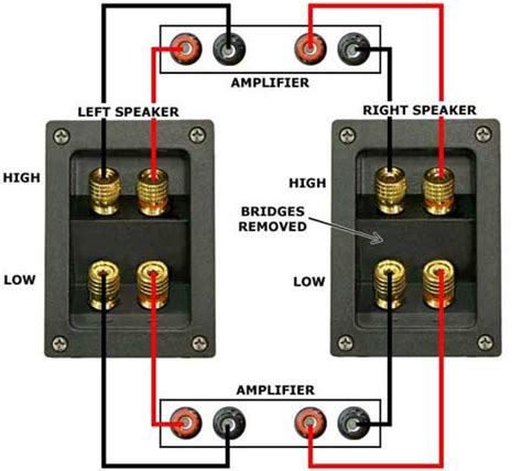how to connect 2 amps Reader