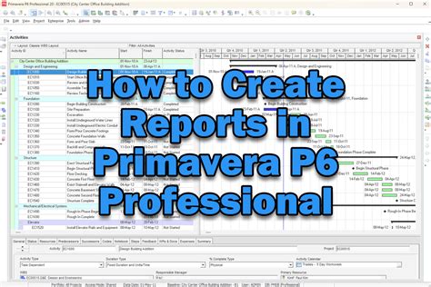 how to create primavera p6 reports pdf Reader