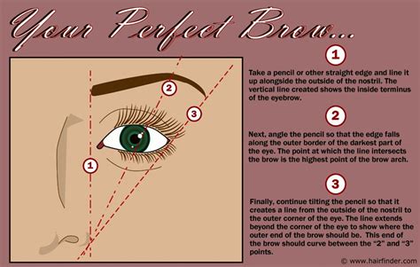 how to create the perfect eyebrow how to create the perfect eyebrow PDF