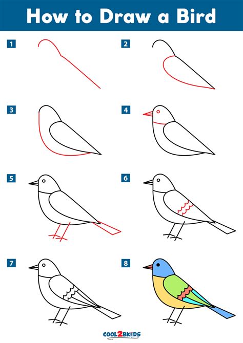 how to draw birds drawing book for kids and adults that will teach you how to draw birds step by step how to draw cartoon characters Volume 10 Reader