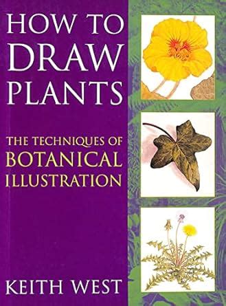 how to draw plants the techniques of botanical illustration PDF